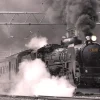 Treno Zanetti