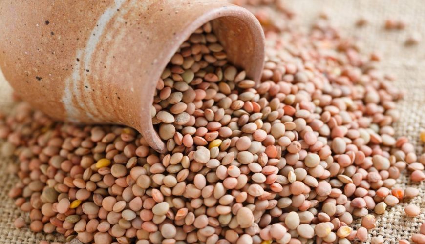 Benessere: Alla scoperta dei sapori tipici e del benessere in Italia