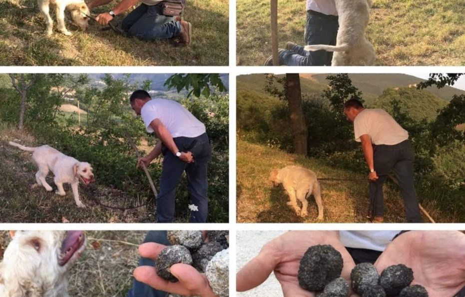 Agriturismo Cà Licozzo