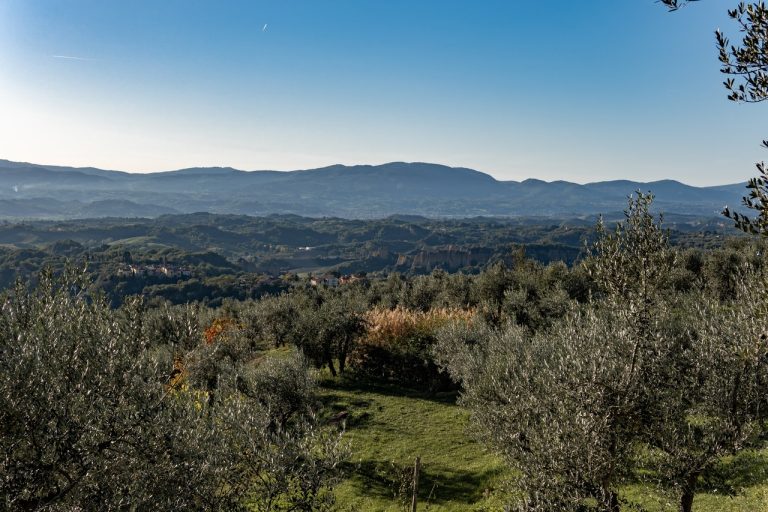 Farmhouse Cafaggio Primo