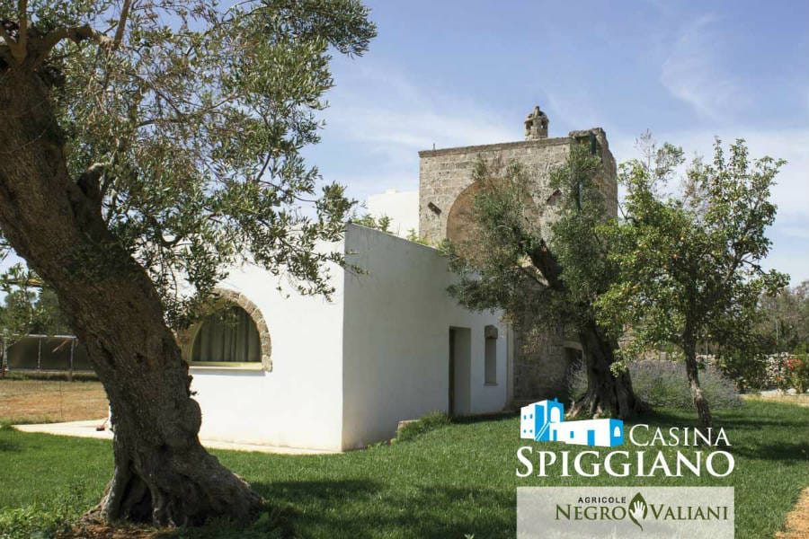 Agriturismo Casina Spiggiano
