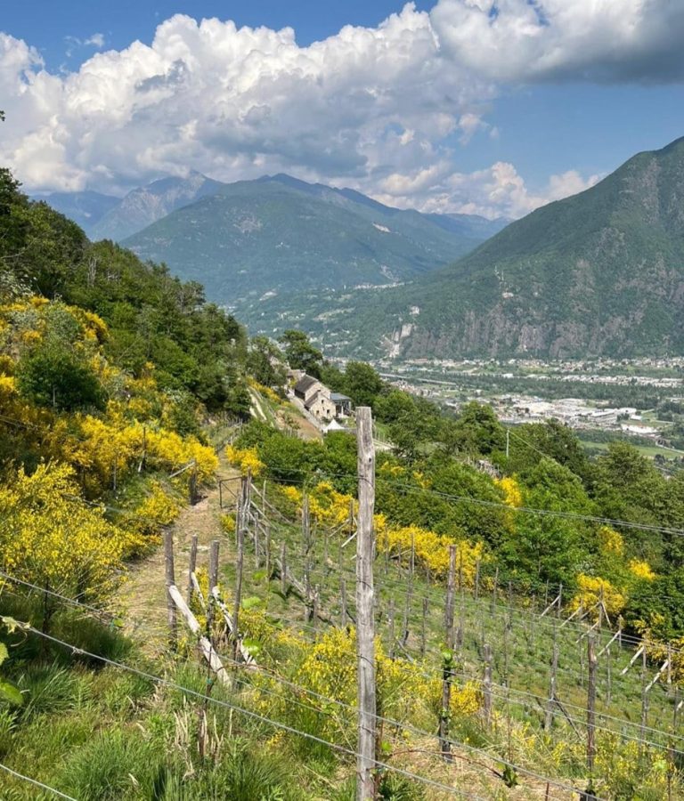 Agriturismo La Tensa