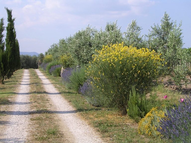 Agriturismo Le Sorgenti