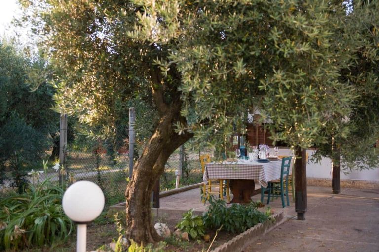 B&B Nero Buono