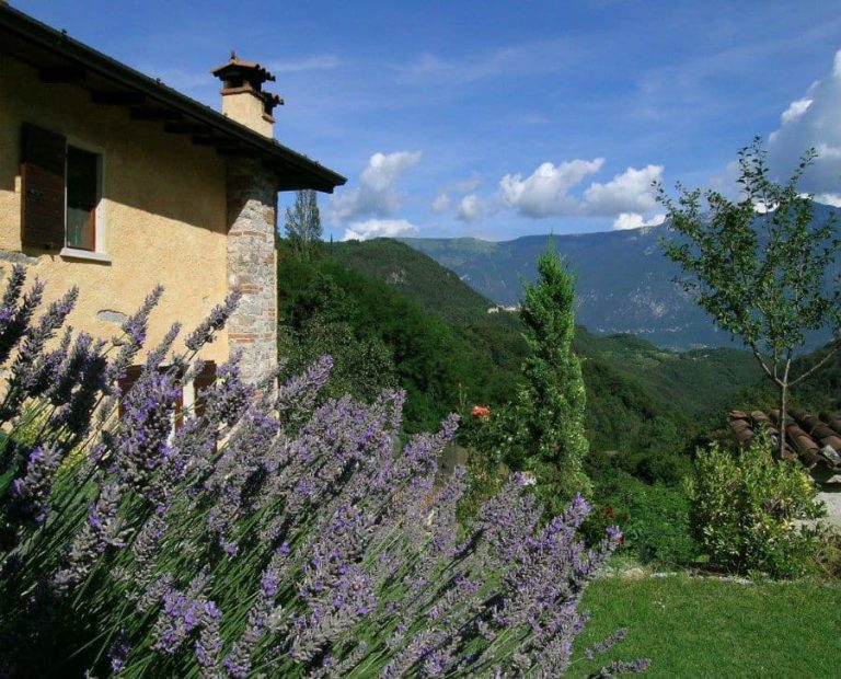 B&B Val di Brasa