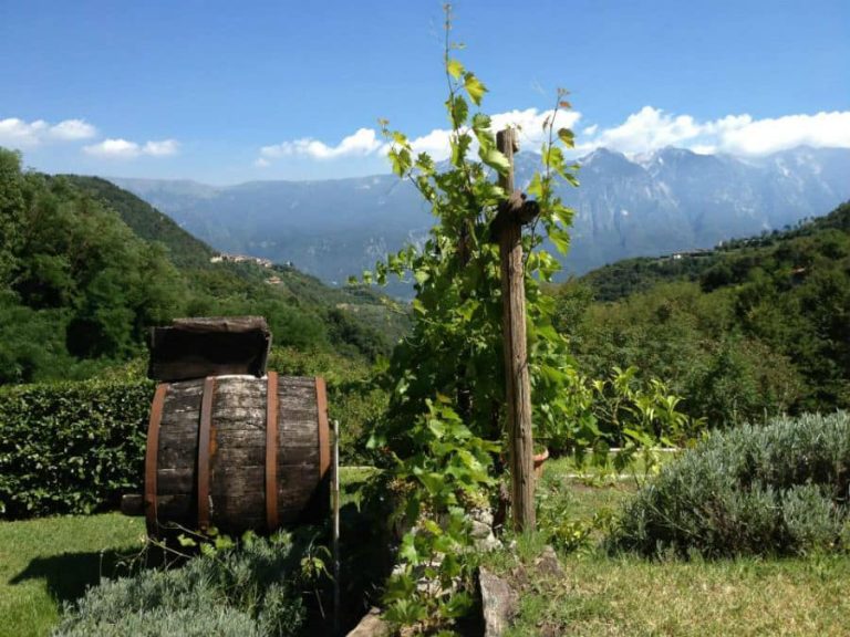 B&B Val di Brasa