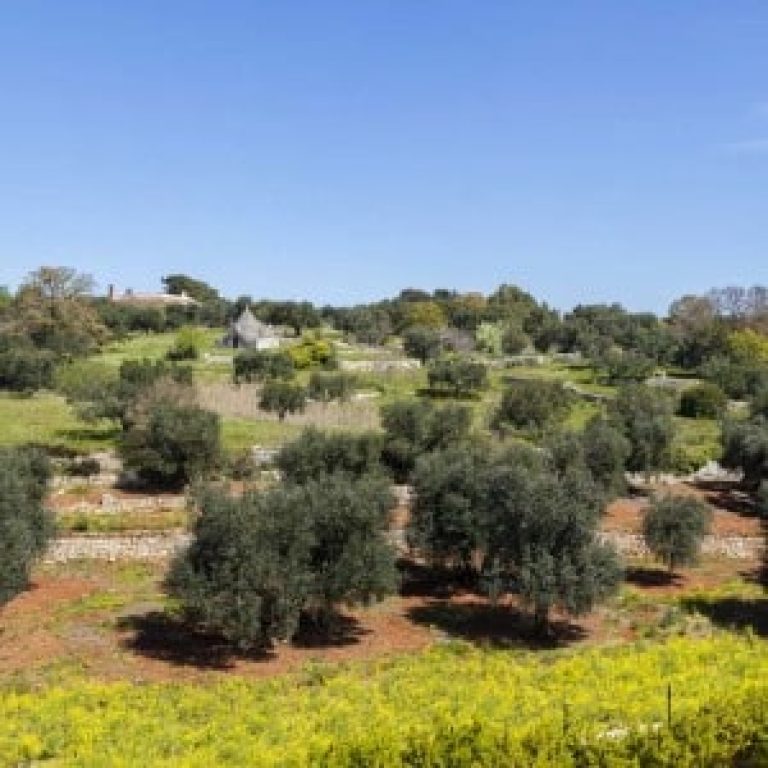 Casa Vacanze Madonna d’Ibernia