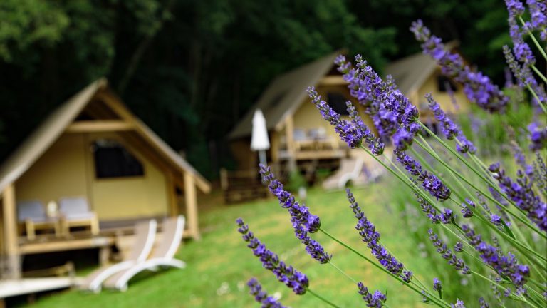 Glamping Pian delle Ginestre