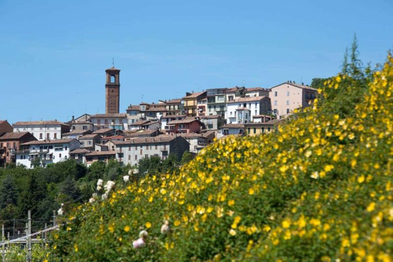 Spinerola Hotel in Cascina & Restaurant UvaSpina
