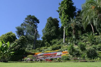 Villa Carlotta 
Lago di Como
agosto 2004