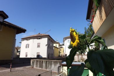 DCIM100MEDIADJI_0485.JPG