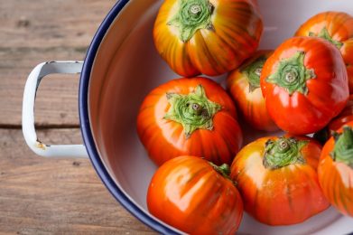 Red,Eggplant,(solanum,Aethiopicum),From,Rotonda,,Region,Basilicata,,Italy