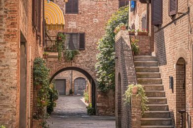 11_12_20-10_25_48-o8ffaa7fe8865130c2c288156b094e95