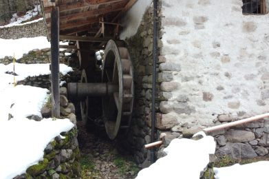 DCIM100MEDIADJI_0734.JPG