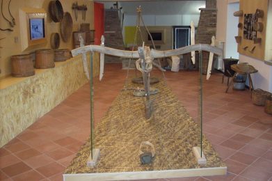 17_03_21-01_55_04-x0284540796a3abcee78196b1c7d3424