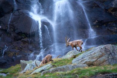 23_04_22-07_44_39-x633090c4f83fa493a99cb13aa26a9f3