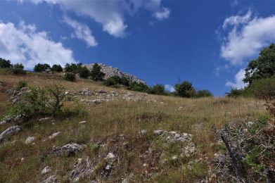 DCIM100MEDIADJI_0035.JPG