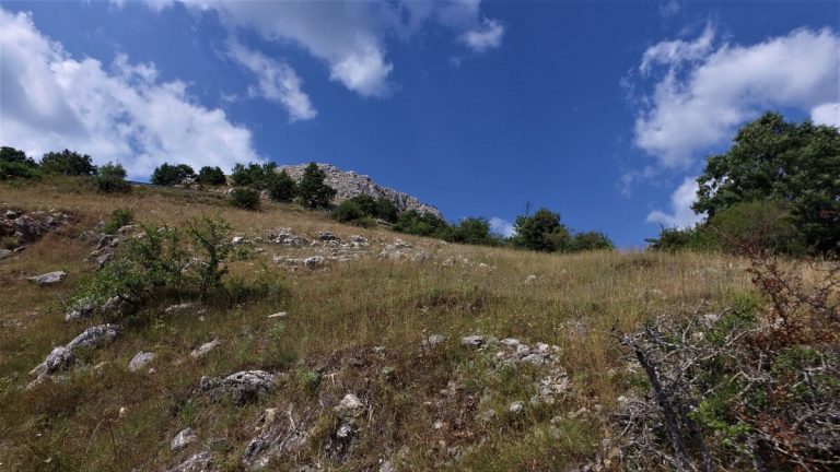 DCIM100MEDIADJI_0035.JPG
