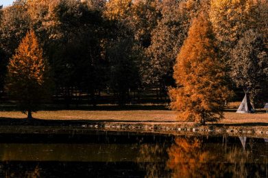 30_09_19-02_56_56-s0377f0af1e9dd2c9e28547d6e8167ad