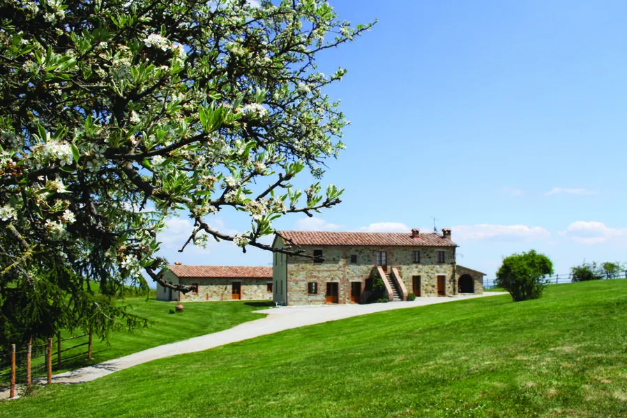 Azienda Agricola Fratelli Mori