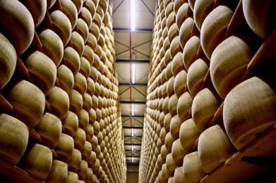 Latteria Sociale Barchessone