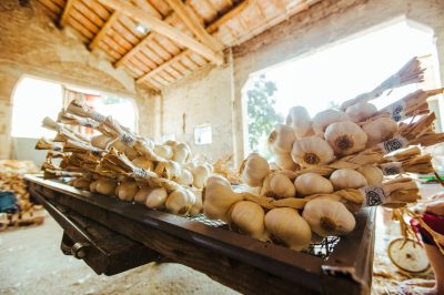 Consorzio di Tutela dell’Aglio Bianco Polesano DOP