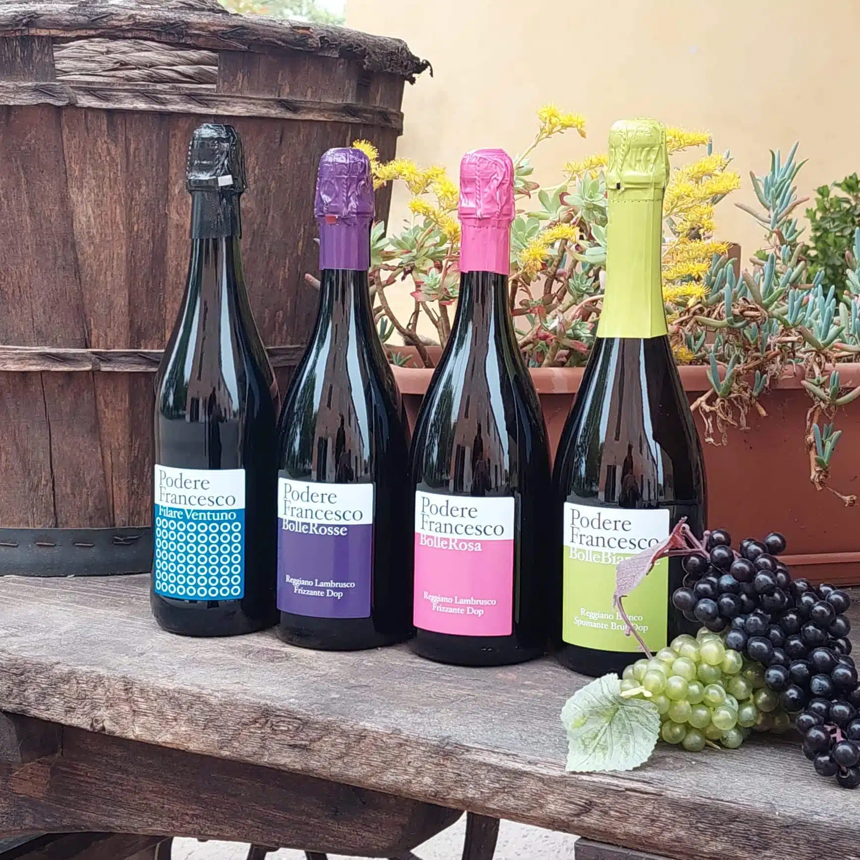 Farm Podere Francesco