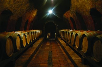 Cantina Giacomo Mori