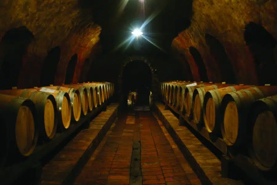 Cantina Giacomo Mori