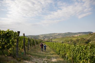 Azienda Vitivinicola Gianni Doglia