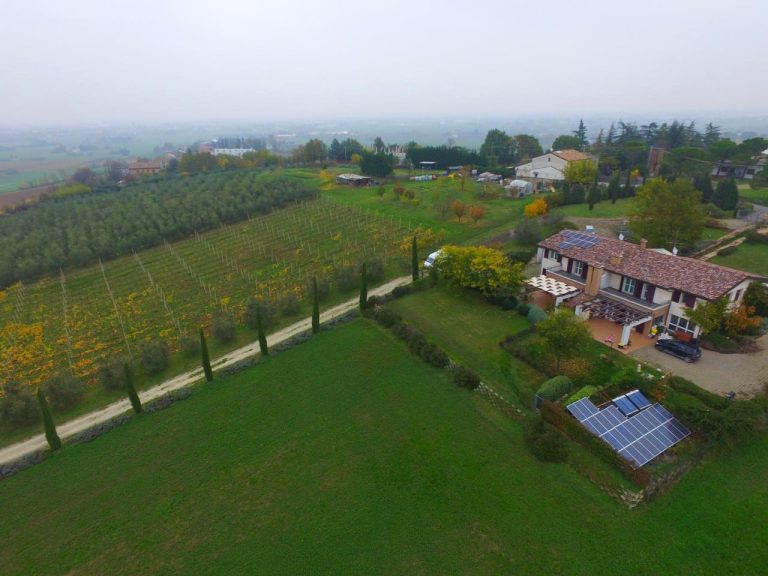 Azienda agricola biologica Nardini Loretta