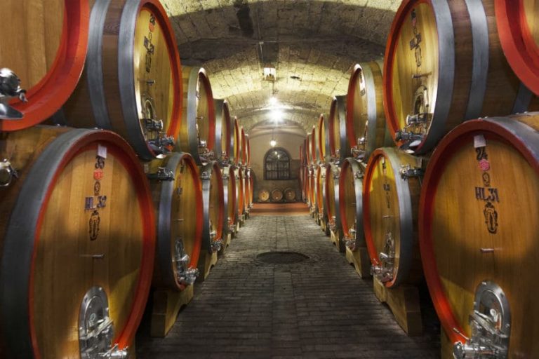 Santa Sofia Winery