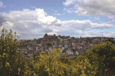 una città con fiori gialli
