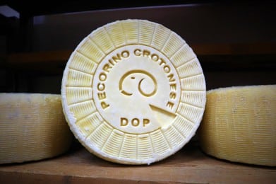 Consortium Pecorino Crotonese DOP