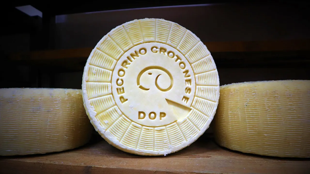 Consortium Pecorino Crotonese DOP