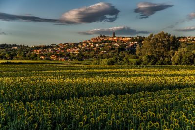 Peccioli trionfa: Il ‘Borgo dei Borghi’ del 2024