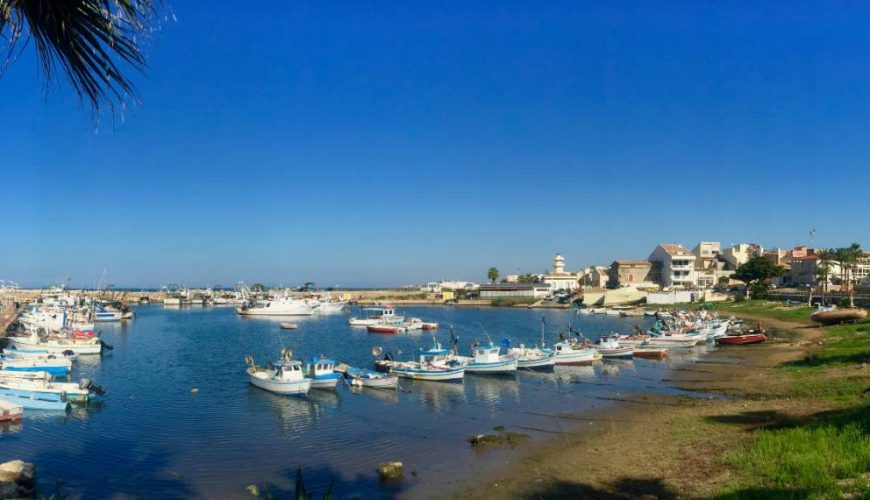 Scoglitti