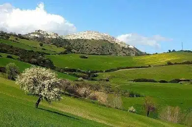 La figura di Nicola Ielpo e il borgo di Rotondella