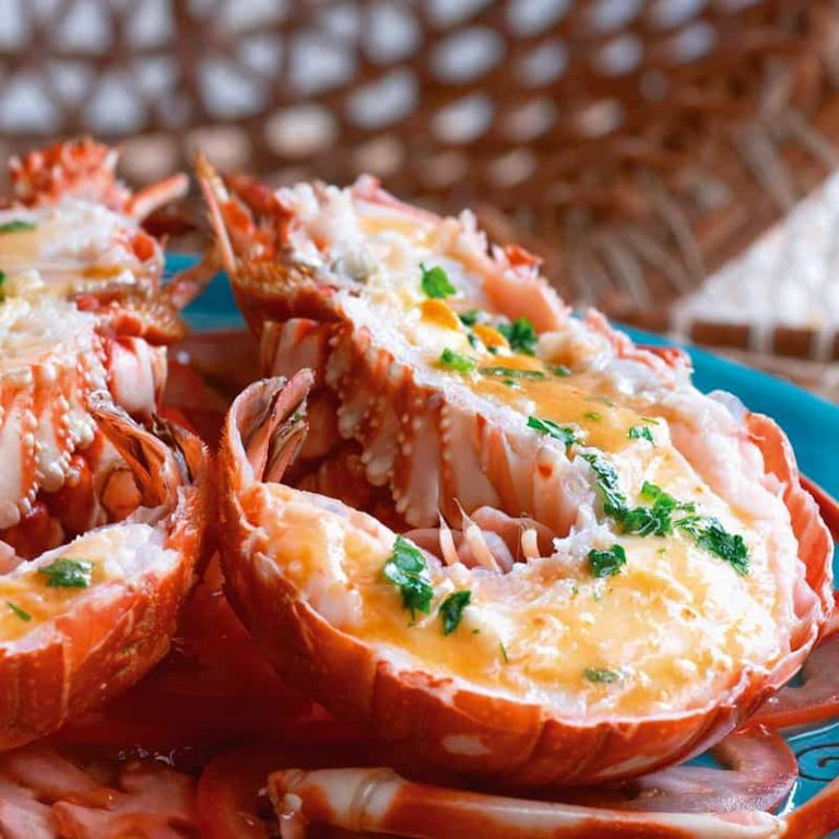 Sardinia: the village of Alghero and its lobster, local gastronomic excellence