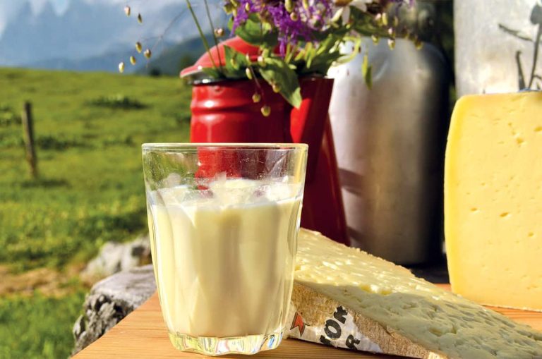 Scopri Moena: patria del formaggio Puzzone