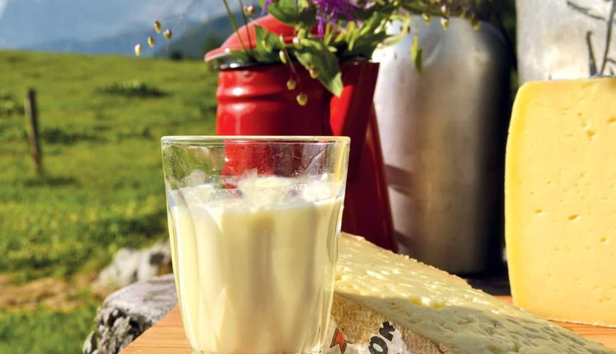 Discover Moena: home of Puzzone cheese