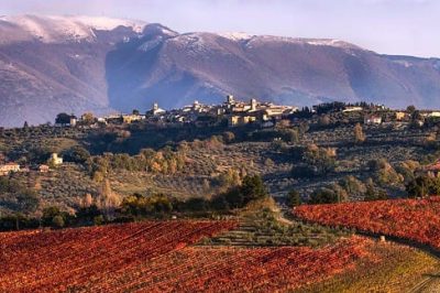 Montefalco: Sagrantino, Saint Francis and the cellars of the friars