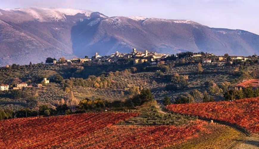 Montefalco: Sagrantino, San Francesco e le cantine dei frati