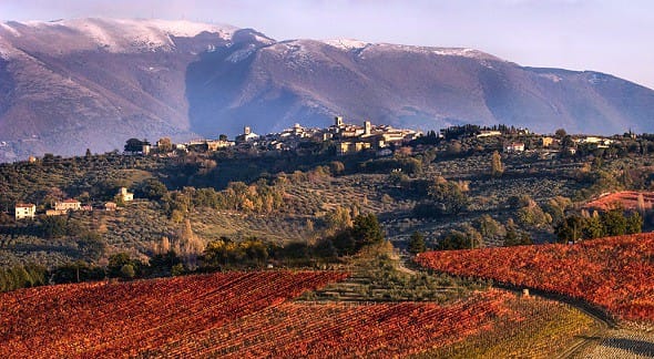 Montefalco: Sagrantino, San Francesco e le cantine dei frati