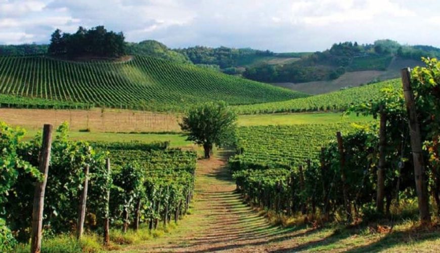 5 unmissable wine villages