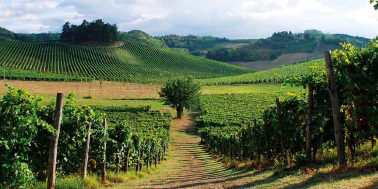 5 unmissable wine villages