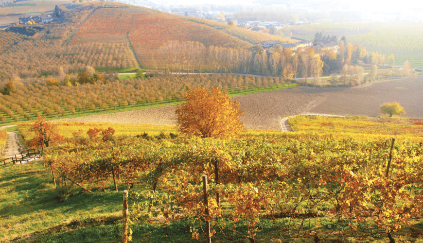 Langhe: journey to the villages of Alba, Barolo, Barbaresco and Neive