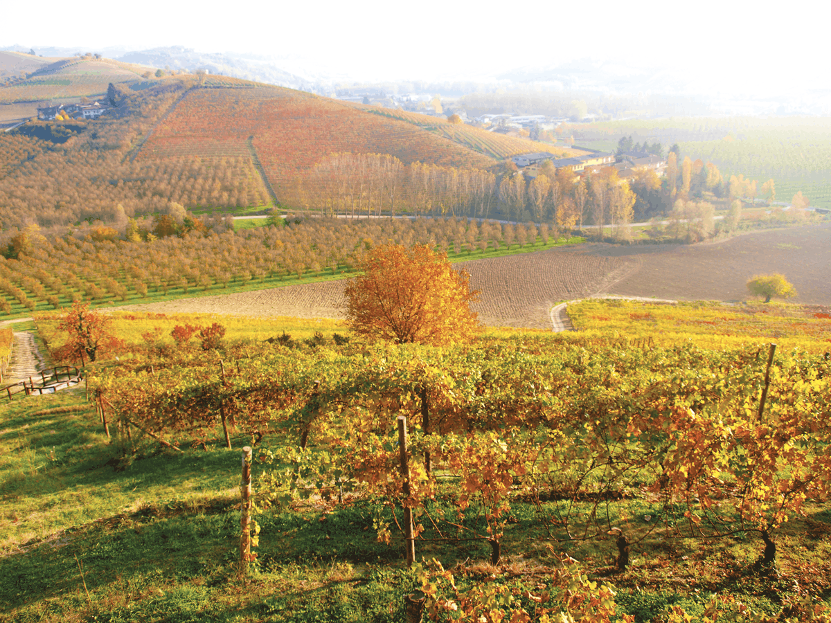 Langhe: gita ai borghi dell’albese, Barolo, Barbaresco e Neive