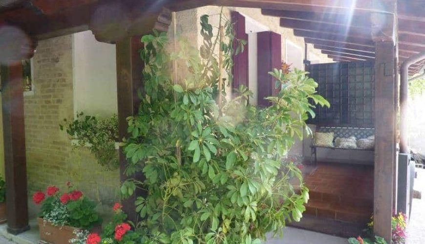 Farmhouse Da Muner