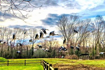 Discovering the natural reserves of the villages of Friuli Venezia Giulia